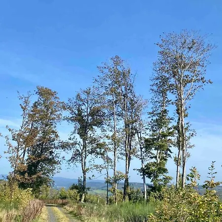 Haiger-burbach Fuer 5 Personen *