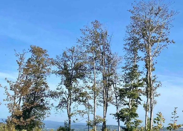 Haiger-burbach Fuer 5 Personen *