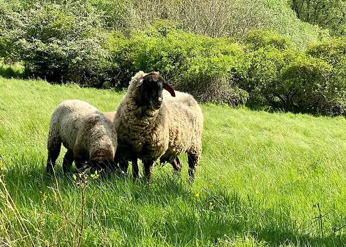 Haiger-burbach Fuer 5 Personen Апартаменты Burbach (Siegen-Wittgenstein)